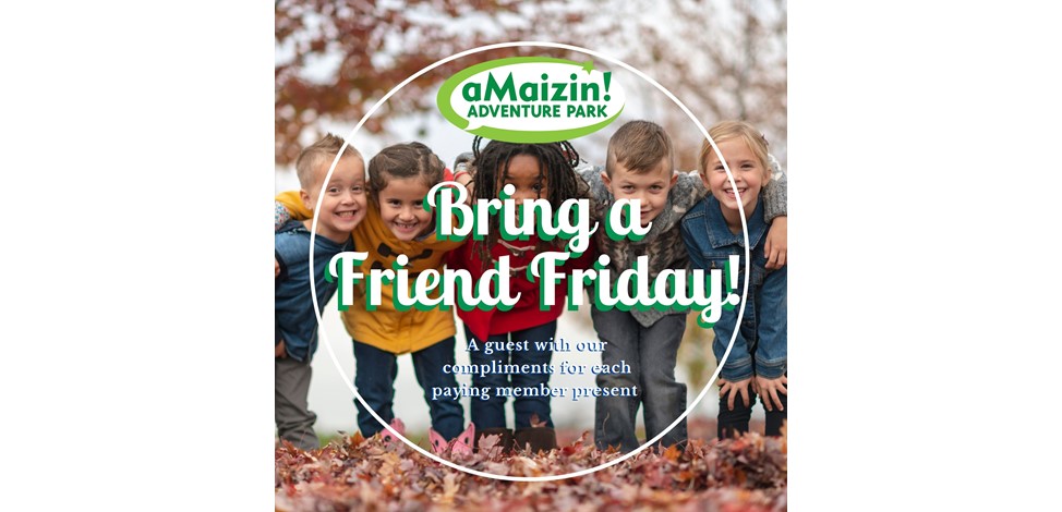 Bring a Friend Friday Autumn  Image